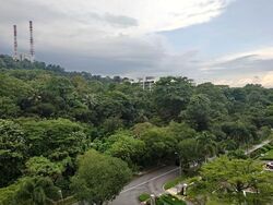 Springdale Condominium (D21), Condominium #562340641